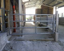 cancelli-4-linee3
