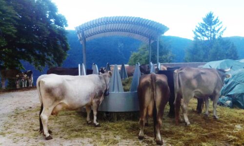 MANGIATOIA-circolare-con-creste5