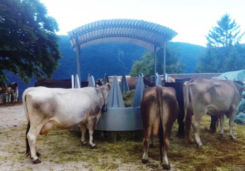 MANGIATOIA-circolare-con-creste5