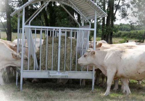 MANGIATOIA---rastrelliera-2