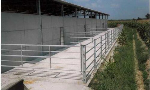 linea-ingrasso-72-paddok-a-5-B